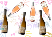 Coffret Bulles Étincelantes - Pétillants